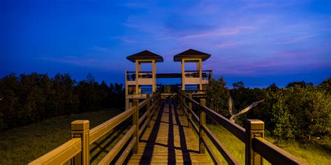Wetland & Nature Park .